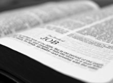 bible-job-reading-christianity-159679